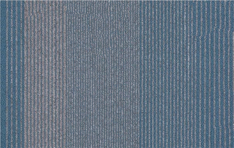 ZSFP2