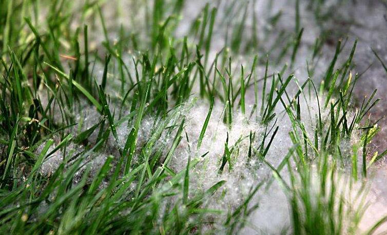 冬季將至，如何除去人造草皮中的冰雪？鉆石地為您支招