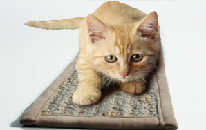 寵物毯-系列-丙綸寵物地毯