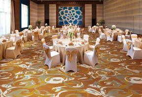 阿克明斯特地毯--滿鋪酒店宴會廳地毯TMGQ177